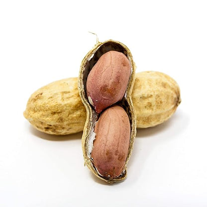 Roasted Peanuts