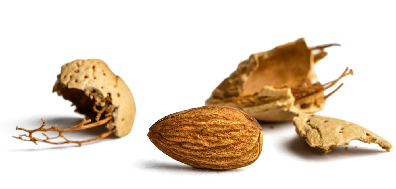 Unshelled Almonds